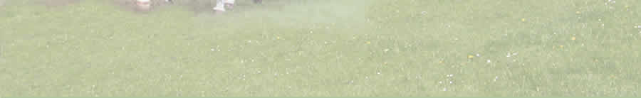 Hintergrund